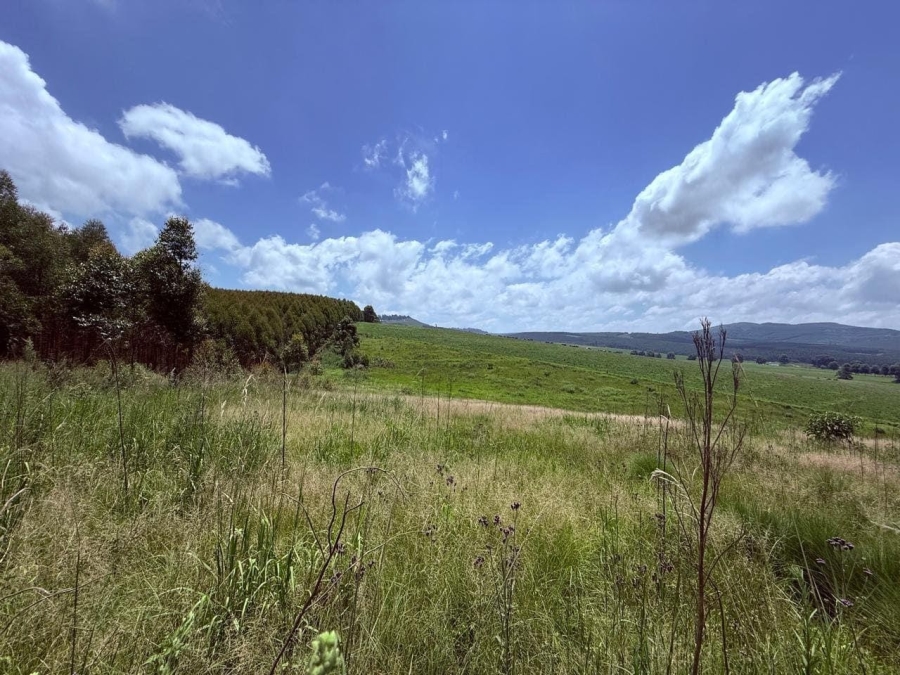 0 Bedroom Property for Sale in Karkloof KwaZulu-Natal