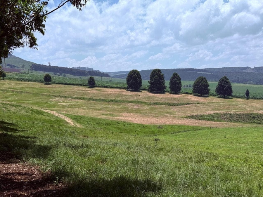 0 Bedroom Property for Sale in Karkloof KwaZulu-Natal