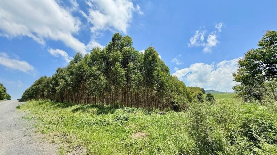 0 Bedroom Property for Sale in Karkloof KwaZulu-Natal