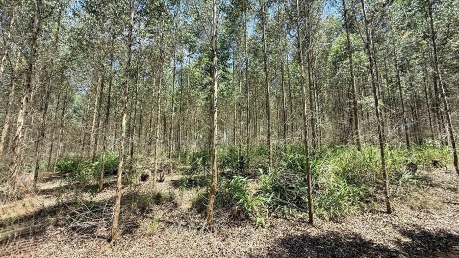 0 Bedroom Property for Sale in Karkloof KwaZulu-Natal