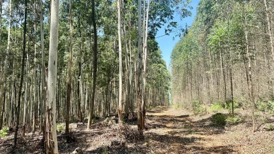 0 Bedroom Property for Sale in Karkloof KwaZulu-Natal