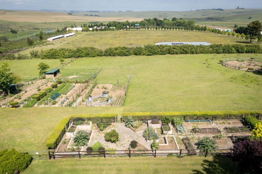 Commercial Property for Sale in Rosetta KwaZulu-Natal