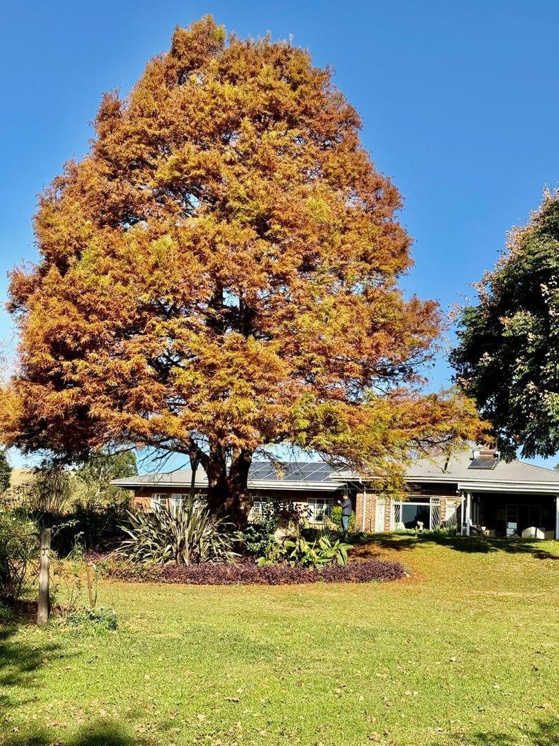 10 Bedroom Property for Sale in Howick Rural KwaZulu-Natal