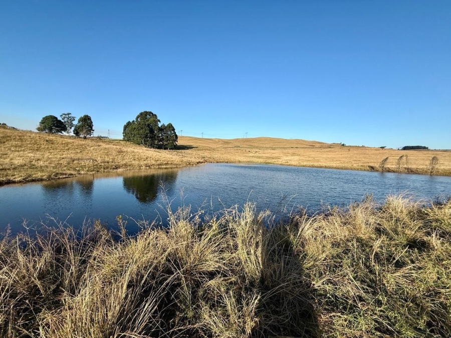 10 Bedroom Property for Sale in Howick Rural KwaZulu-Natal