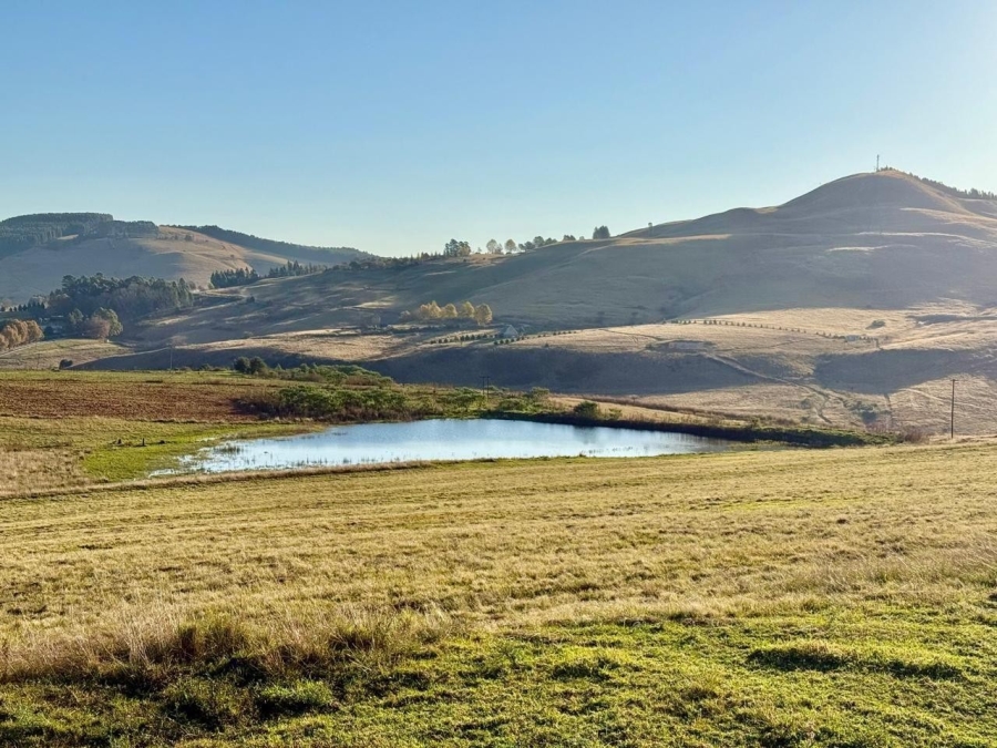 10 Bedroom Property for Sale in Howick Rural KwaZulu-Natal