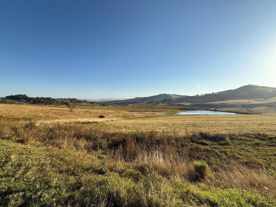 10 Bedroom Property for Sale in Howick Rural KwaZulu-Natal