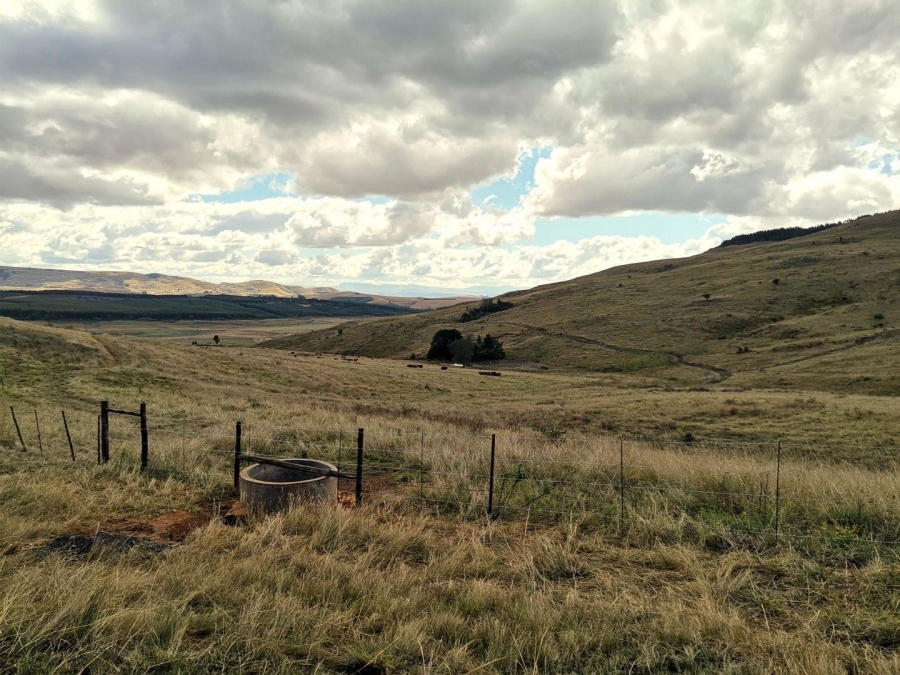 10 Bedroom Property for Sale in Donnybrook KwaZulu-Natal