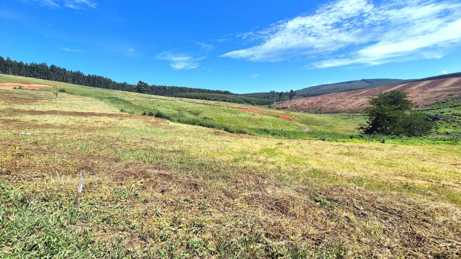 0 Bedroom Property for Sale in St Johns Village KwaZulu-Natal