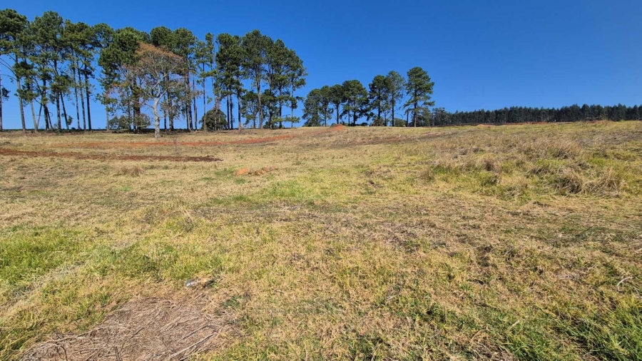 0 Bedroom Property for Sale in St Johns Village KwaZulu-Natal