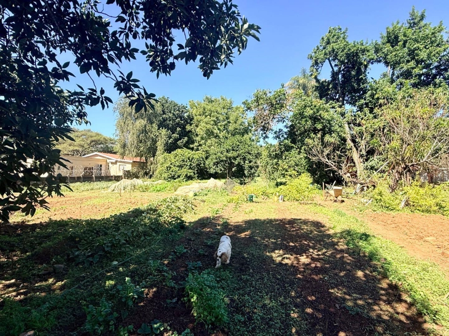 3 Bedroom Property for Sale in Paulpietersburg KwaZulu-Natal