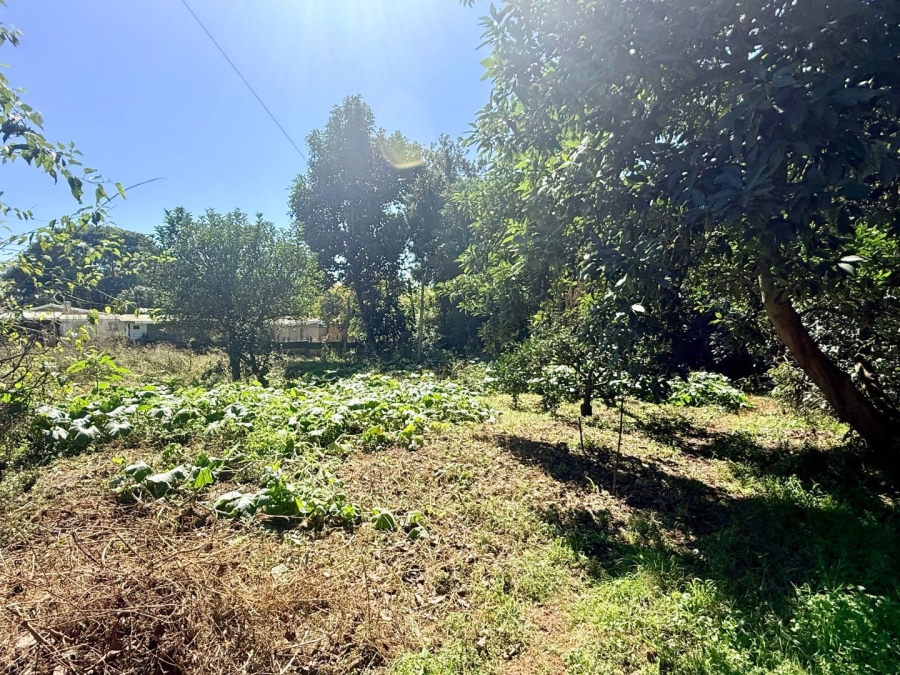 3 Bedroom Property for Sale in Paulpietersburg KwaZulu-Natal