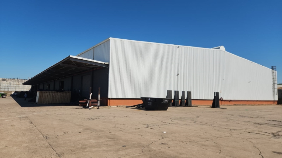 To Let Commercial Property for Rent in Prospecton KwaZulu-Natal