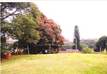 1 Bedroom Property for Sale in Durban North KwaZulu-Natal
