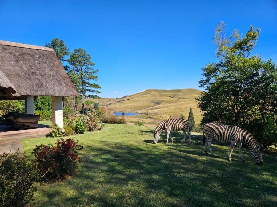 6 Bedroom Property for Sale in Karkloof KwaZulu-Natal