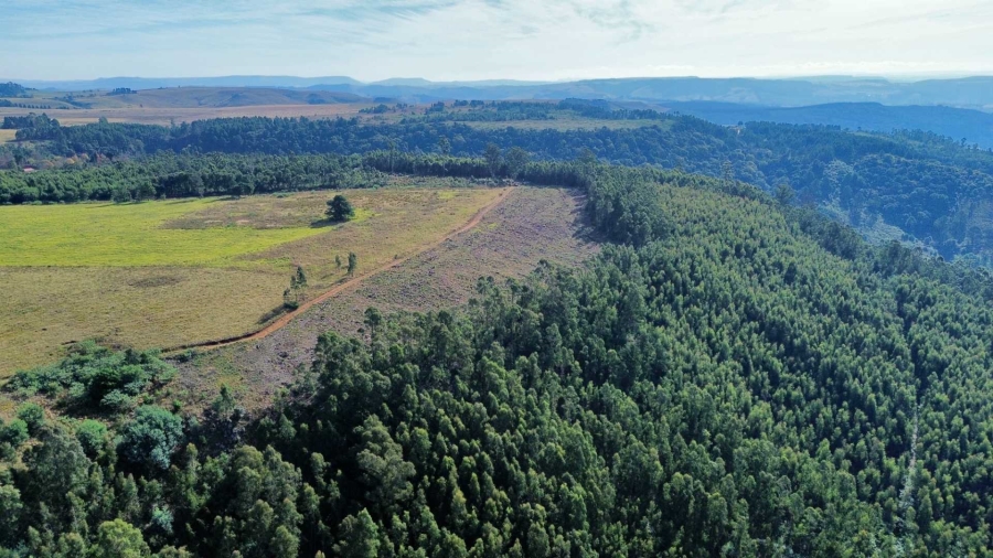 Commercial Property for Sale in Howick Rural KwaZulu-Natal