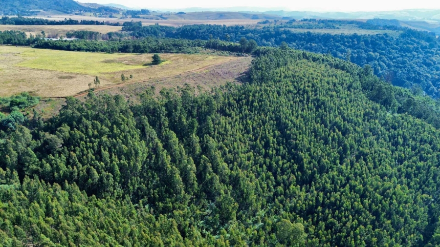 Commercial Property for Sale in Howick Rural KwaZulu-Natal