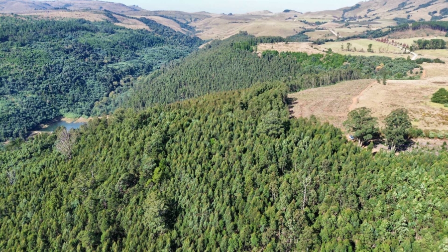 Commercial Property for Sale in Howick Rural KwaZulu-Natal
