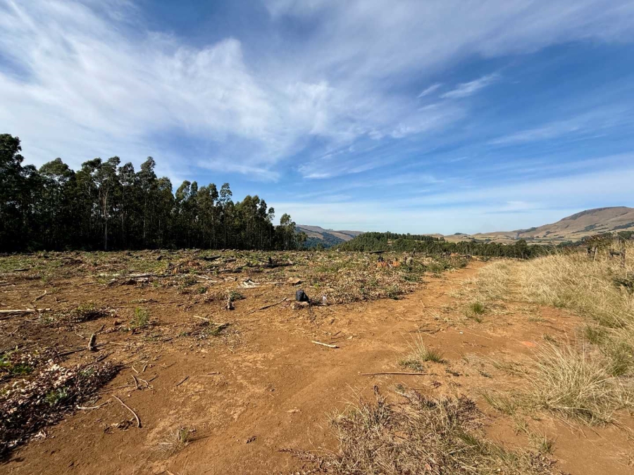 Commercial Property for Sale in Howick Rural KwaZulu-Natal