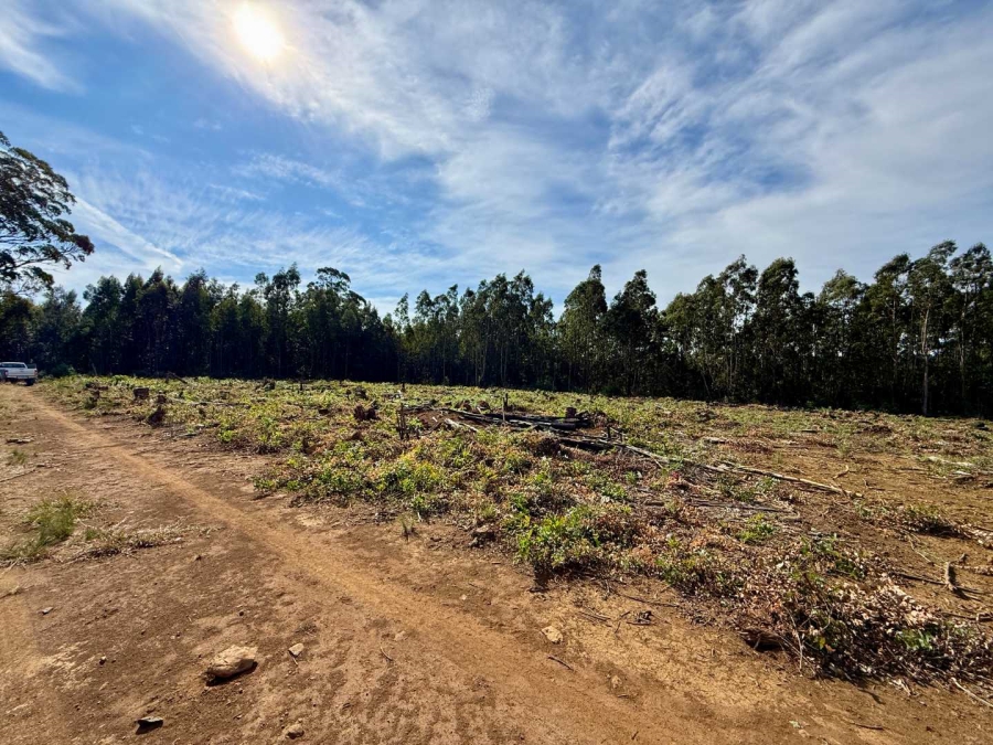 Commercial Property for Sale in Howick Rural KwaZulu-Natal