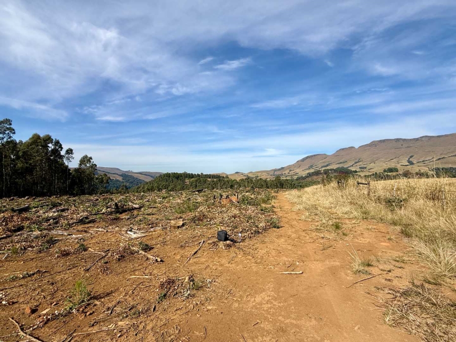 Commercial Property for Sale in Howick Rural KwaZulu-Natal