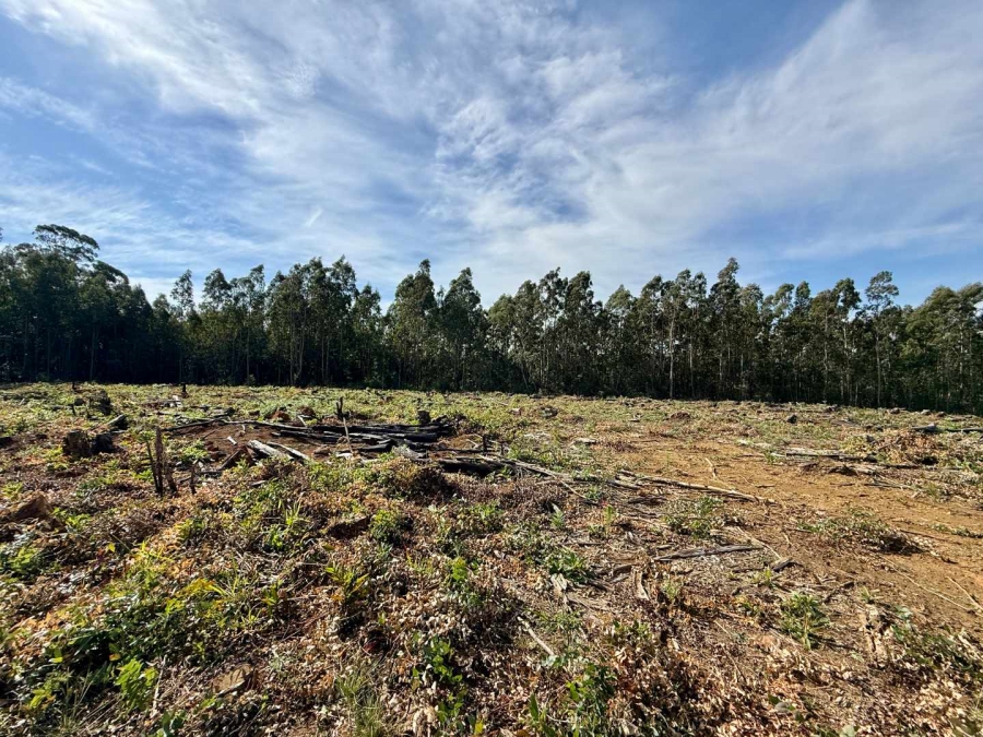 Commercial Property for Sale in Howick Rural KwaZulu-Natal