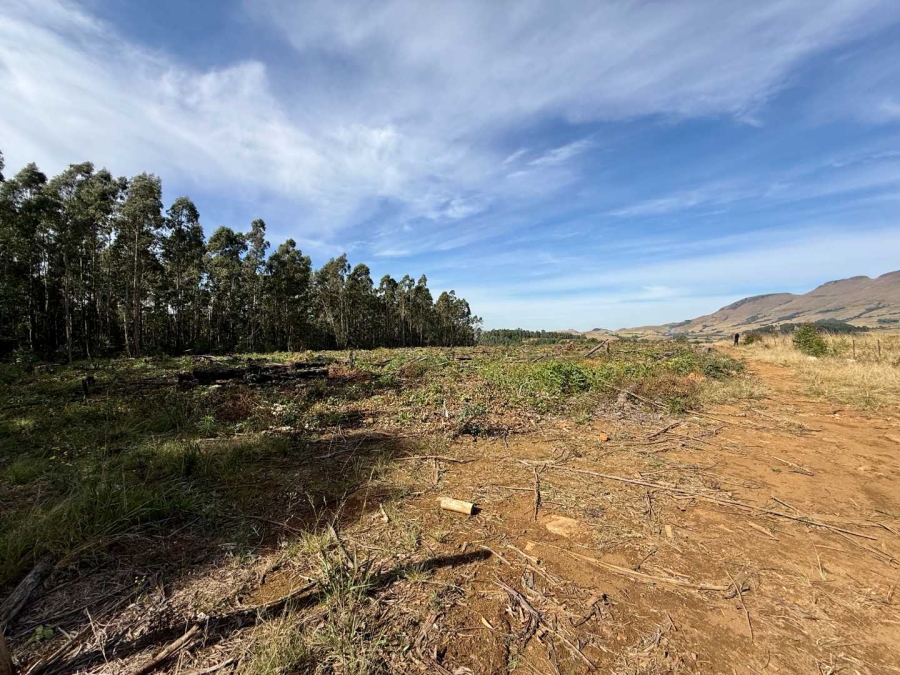 Commercial Property for Sale in Howick Rural KwaZulu-Natal