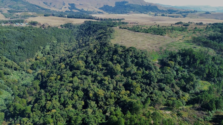 Commercial Property for Sale in Howick Rural KwaZulu-Natal