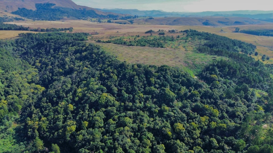 Commercial Property for Sale in Howick Rural KwaZulu-Natal