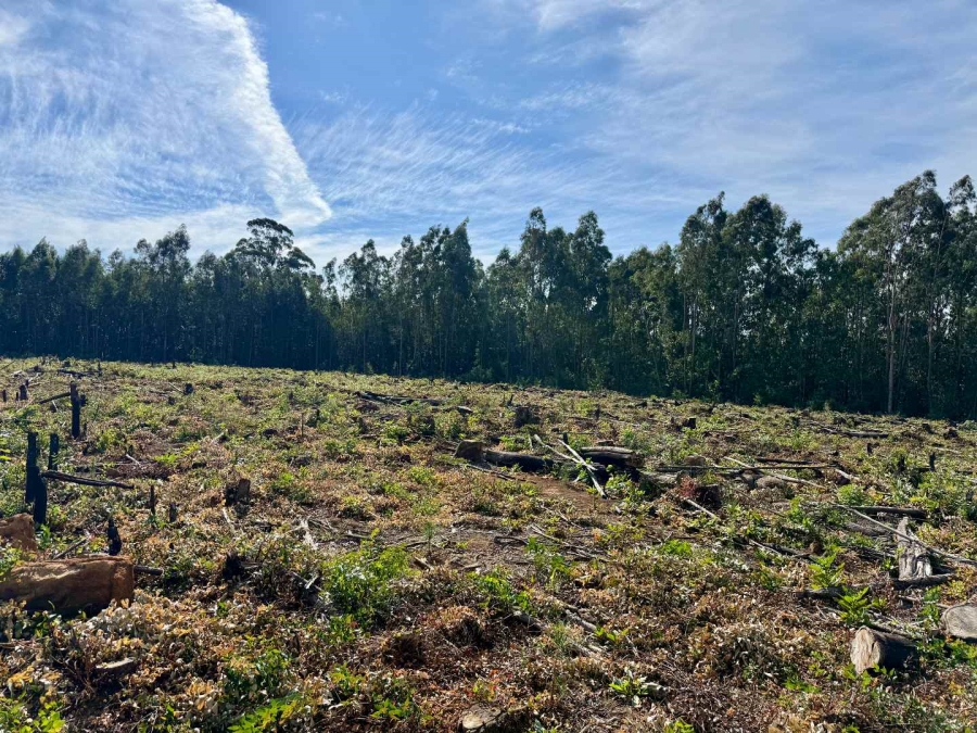 Commercial Property for Sale in Howick Rural KwaZulu-Natal