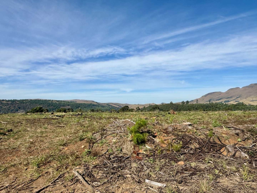 Commercial Property for Sale in Howick Rural KwaZulu-Natal