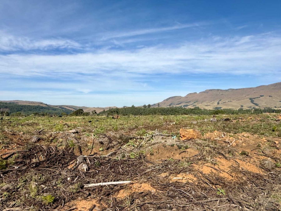 Commercial Property for Sale in Howick Rural KwaZulu-Natal