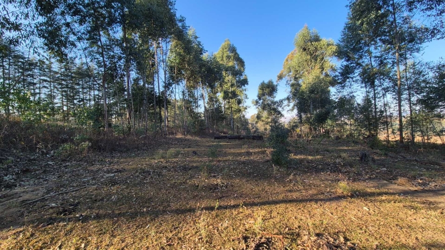 0 Bedroom Property for Sale in Howick Rural KwaZulu-Natal