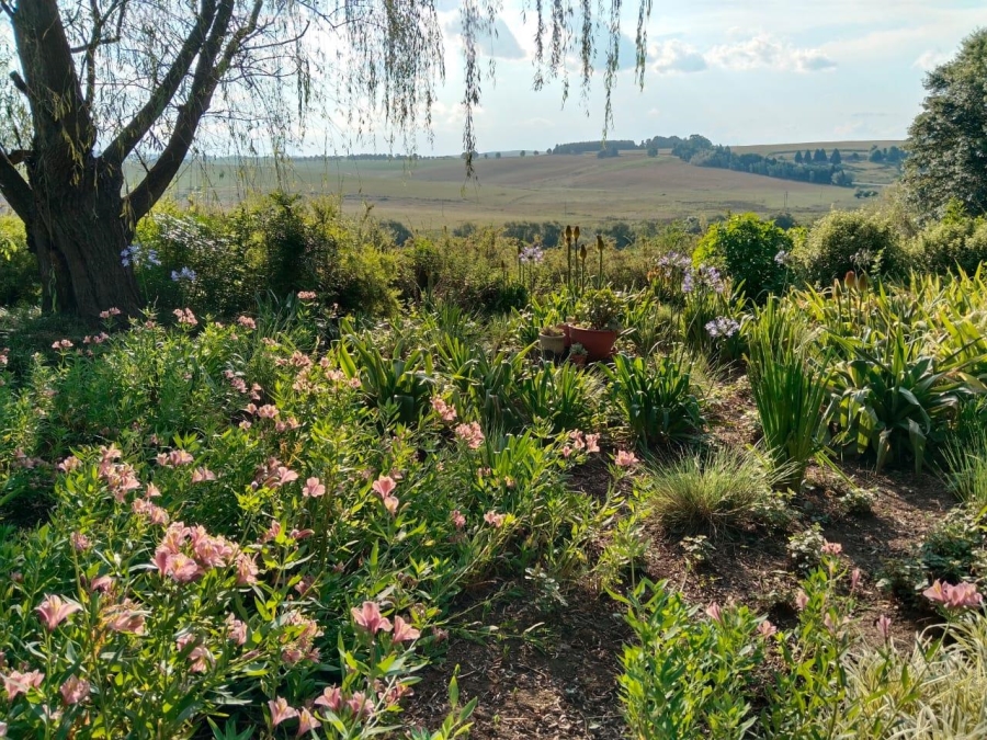 4 Bedroom Property for Sale in Rosetta KwaZulu-Natal