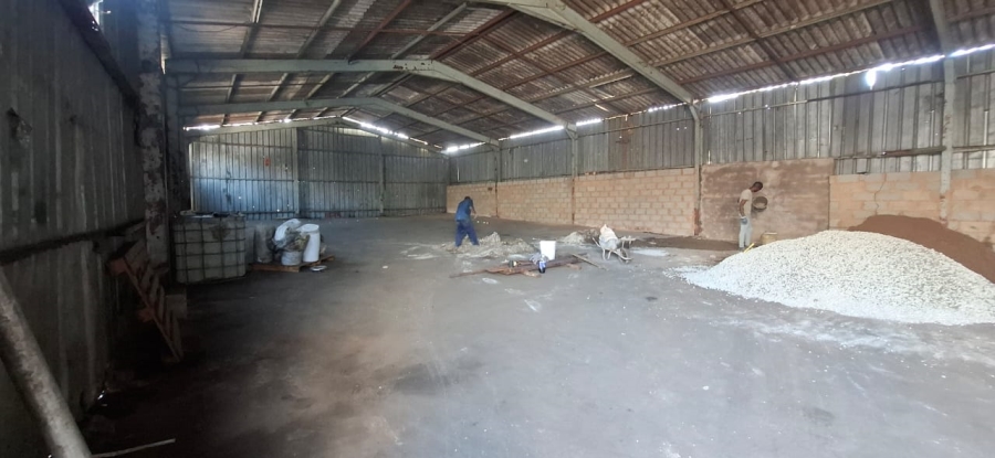To Let Commercial Property for Rent in Warwick KwaZulu-Natal