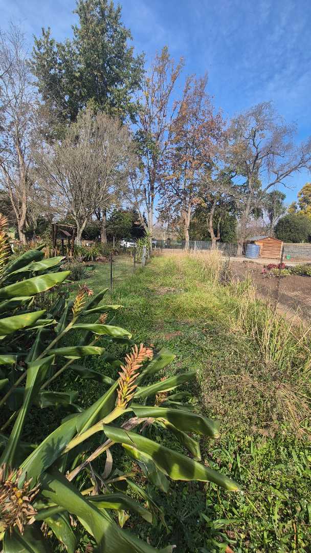 0 Bedroom Property for Sale in Greendale KwaZulu-Natal