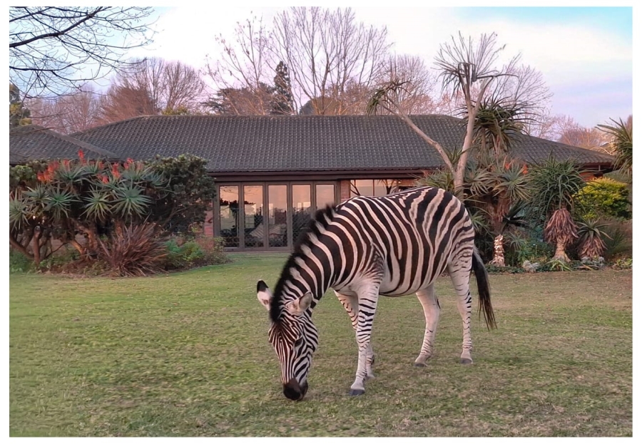 3 Bedroom Property for Sale in Howick North KwaZulu-Natal