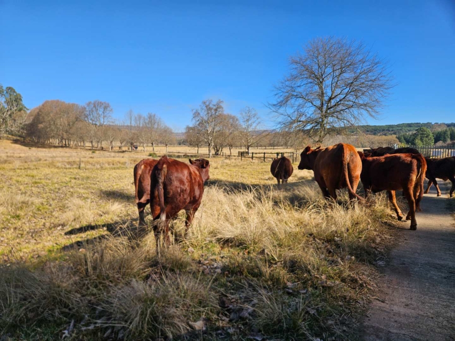 0 Bedroom Property for Sale in Nottingham Road KwaZulu-Natal