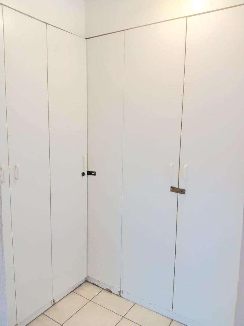 To Let 3 Bedroom Property for Rent in Arboretum KwaZulu-Natal