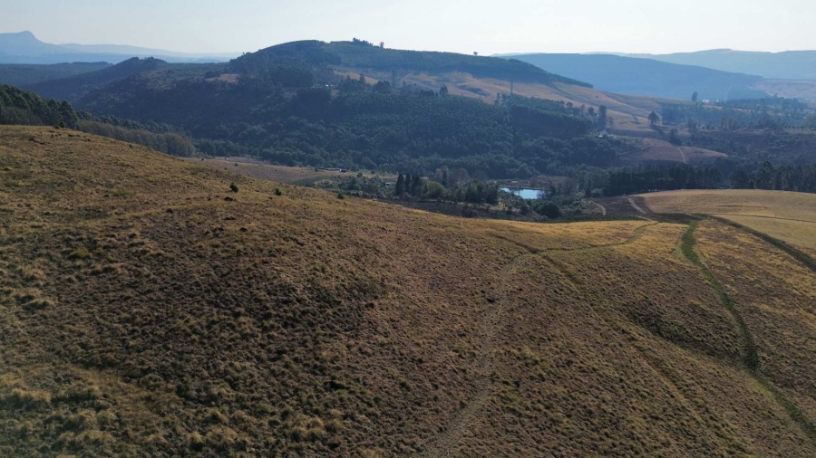 4 Bedroom Property for Sale in Dargle KwaZulu-Natal