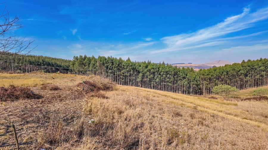 3 Bedroom Property for Sale in Dargle KwaZulu-Natal