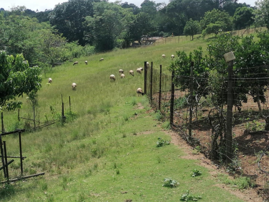 6 Bedroom Property for Sale in Drummond KwaZulu-Natal