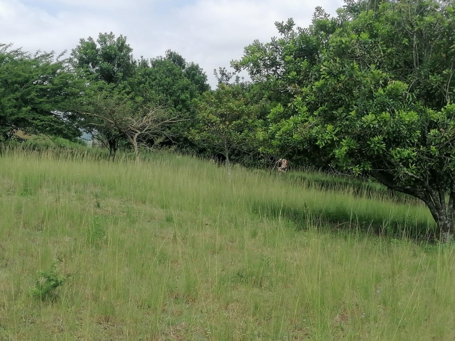 6 Bedroom Property for Sale in Drummond KwaZulu-Natal
