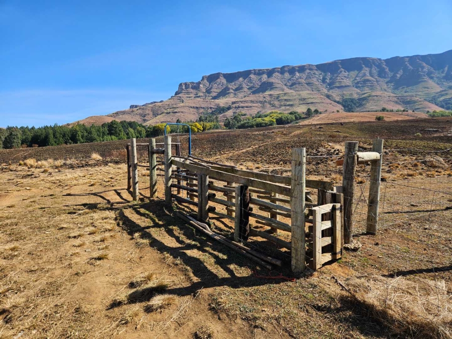 4 Bedroom Property for Sale in Mooi River Rural KwaZulu-Natal