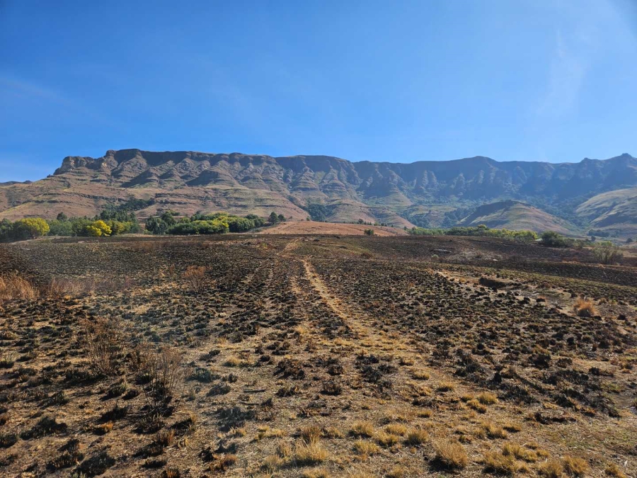 4 Bedroom Property for Sale in Mooi River Rural KwaZulu-Natal