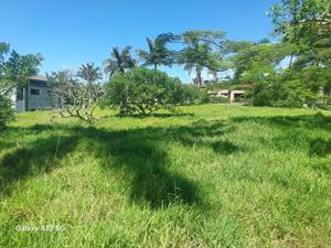 4 Bedroom Property for Sale in Palm Lakes Estate KwaZulu-Natal