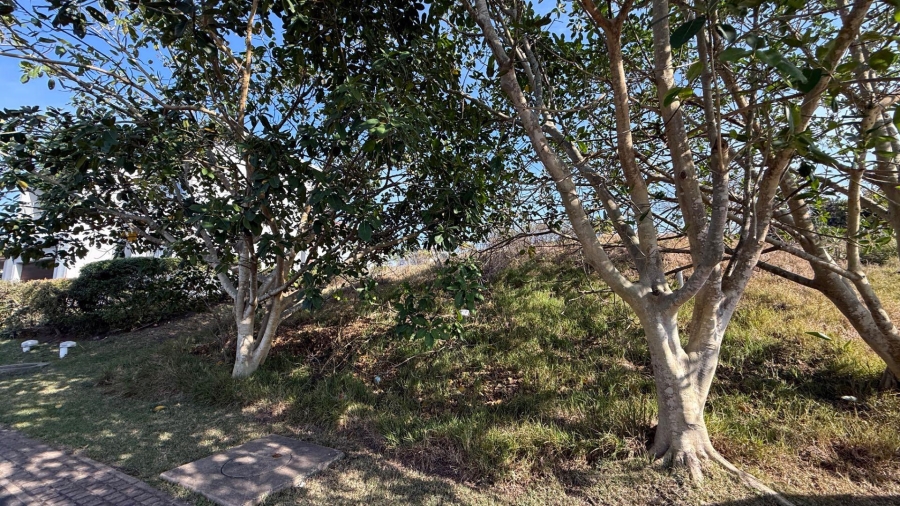 0 Bedroom Property for Sale in Palm Lakes Estate KwaZulu-Natal