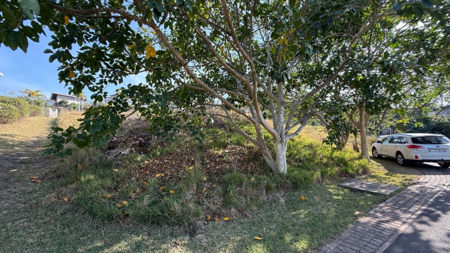 0 Bedroom Property for Sale in Palm Lakes Estate KwaZulu-Natal