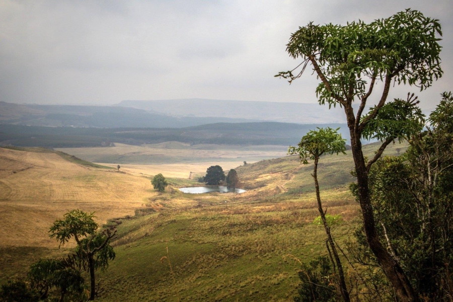 19 Bedroom Property for Sale in Donnybrook KwaZulu-Natal