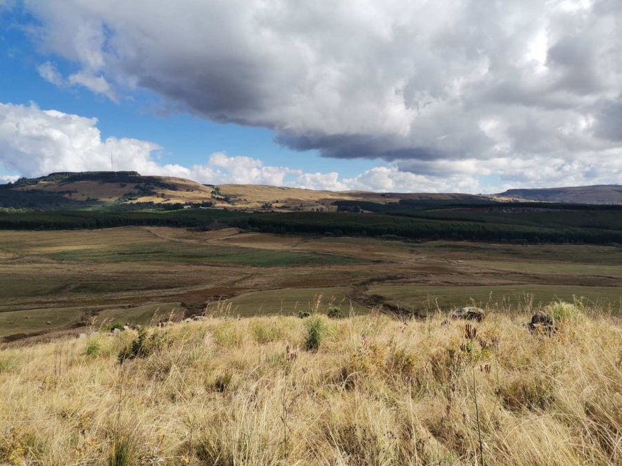 19 Bedroom Property for Sale in Donnybrook KwaZulu-Natal