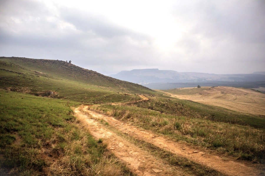 19 Bedroom Property for Sale in Donnybrook KwaZulu-Natal